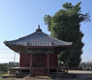 浄蔵寺の大イチョウ